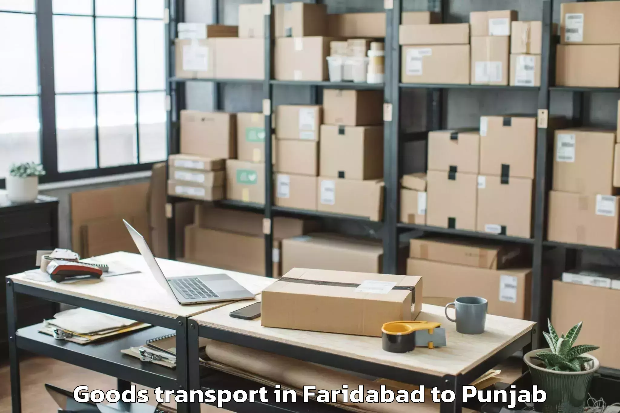 Professional Faridabad to Tapa Goods Transport